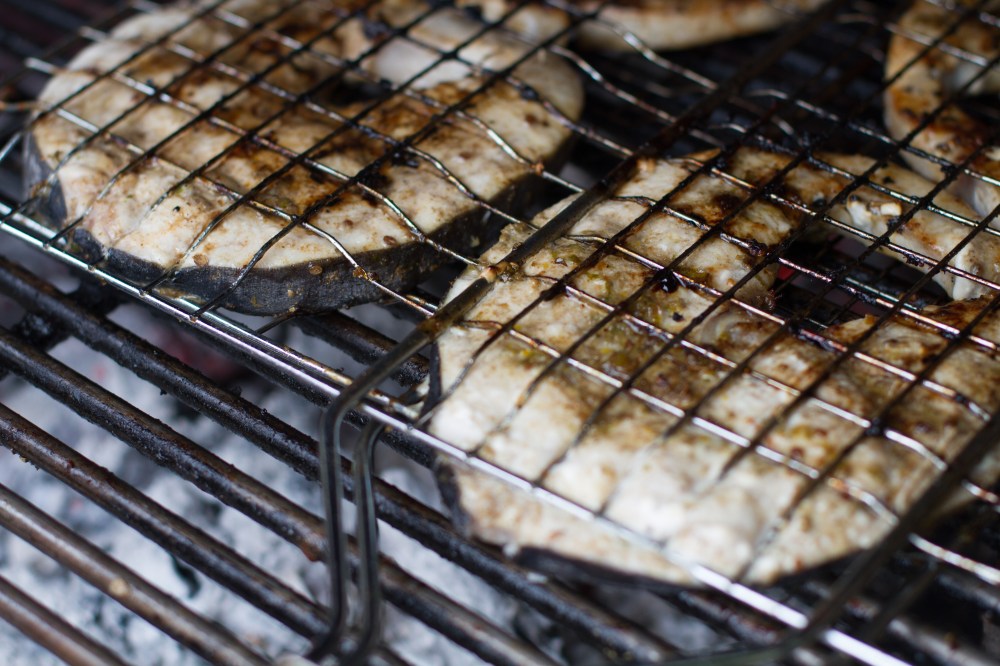 bbq-41